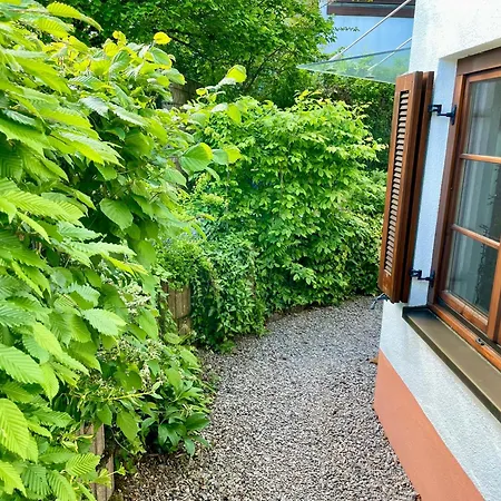 Zirbe * Rickenbach (Baden-Wurttemberg)